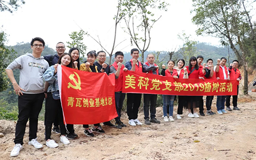 星空电子党支部活动|共植树,互交流,争当绿色守护者